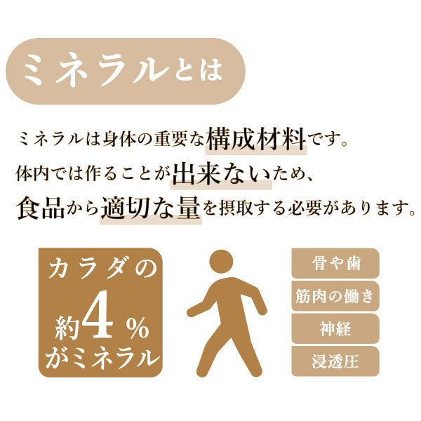 たべサプリ ケンコツふりかけ 6本セット