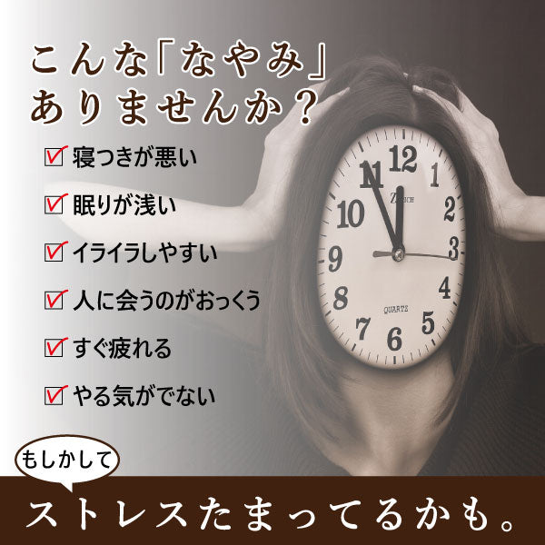 【機能性表示食品】夢眠パン(MUMIN PAN)~ビターチョコ味~ 10個セット