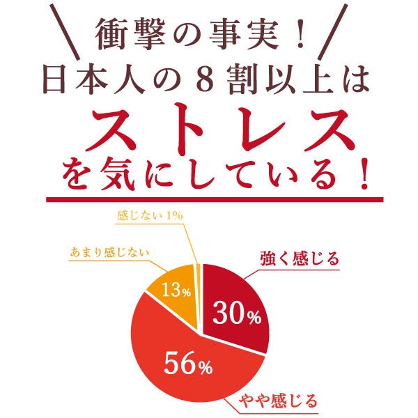 【機能性表示食品】夢眠パン(MUMIN PAN)~ビターチョコ味~ 10個セット