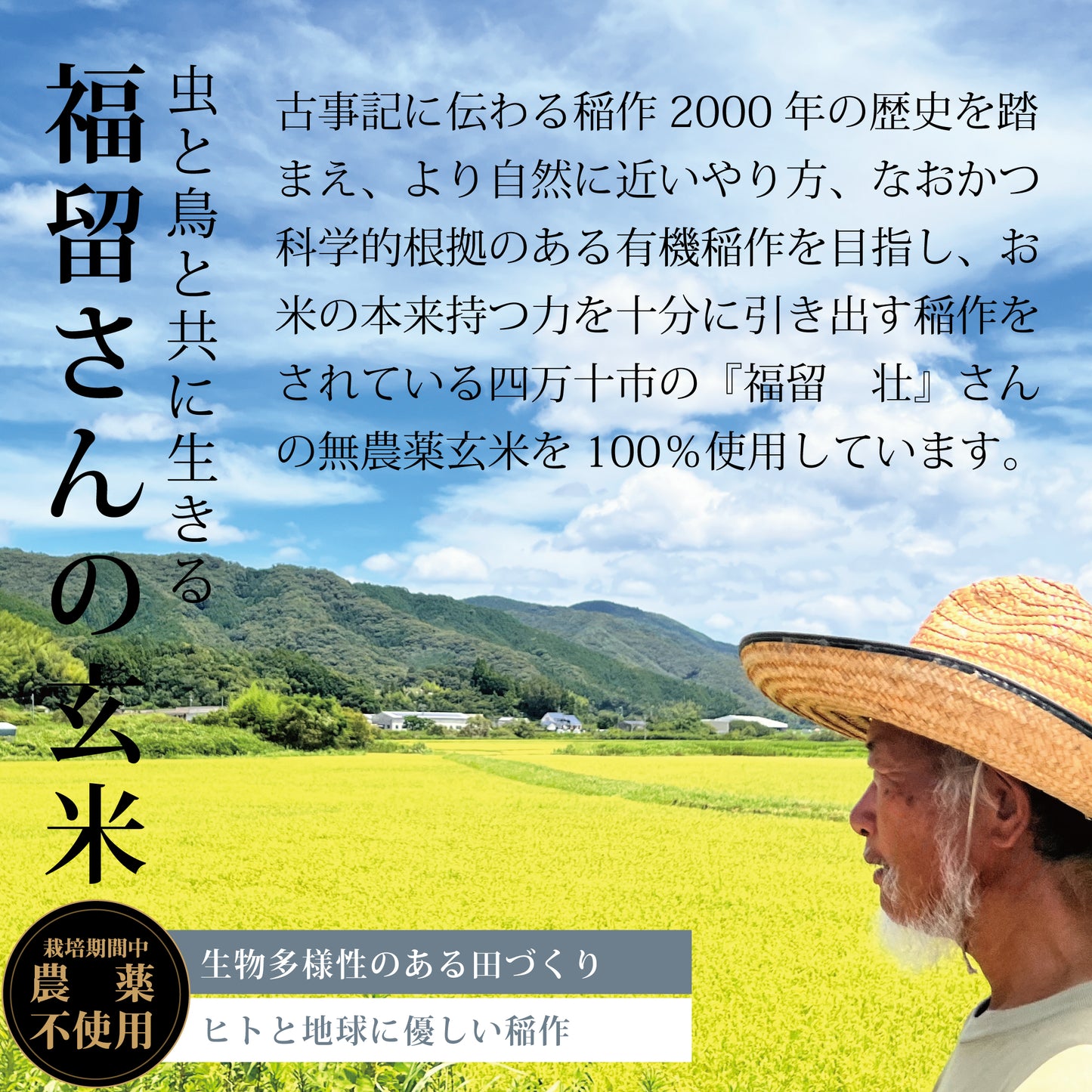 四万十玄米珈琲(玄米コーヒー)四万十無農薬玄米 ノンカフェイン
