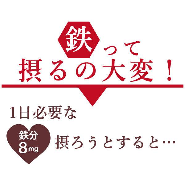 鉄分が摂れるアイアンパン
