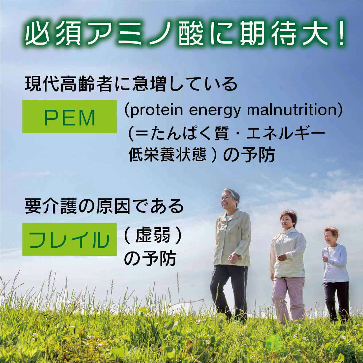 SALA　サラッとおいしいモリンガ青汁