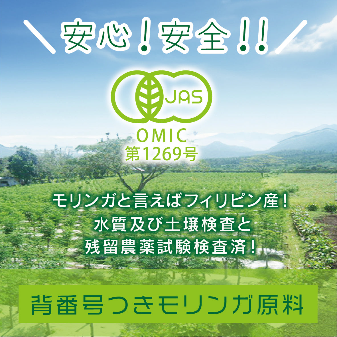 SALA　サラッとおいしいモリンガ青汁